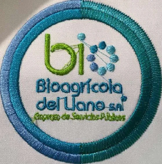 Parche circular bordado con logo institucional a todo color